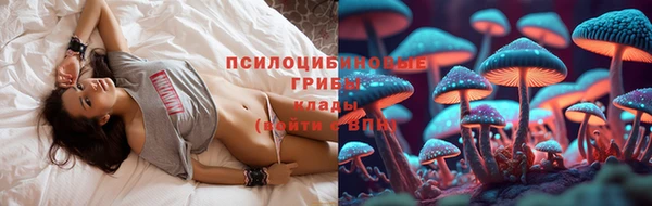 Альфа ПВП Заволжск