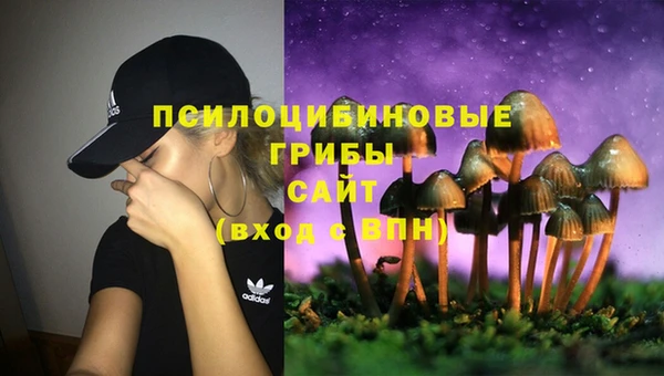 Альфа ПВП Заволжск
